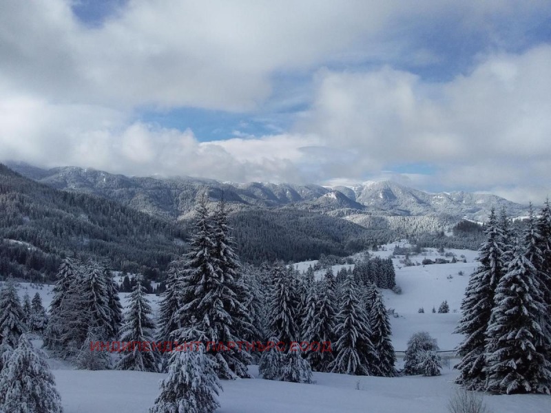En venta  1 dormitorio región Smolyan , k.k. Pamporovo , 76 metros cuadrados | 98256536 - imagen [5]