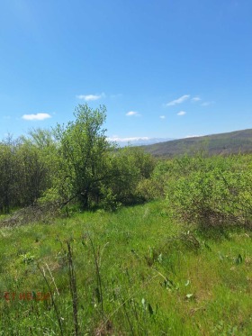 ������� ������ | Imot.bg � ����� ������ 3