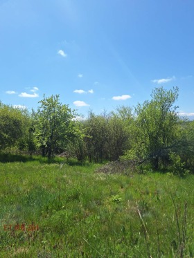 ������� ������ | Imot.bg � ����� ������ 4