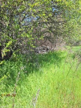 ����� ������� ������,�. �����, ������ �����