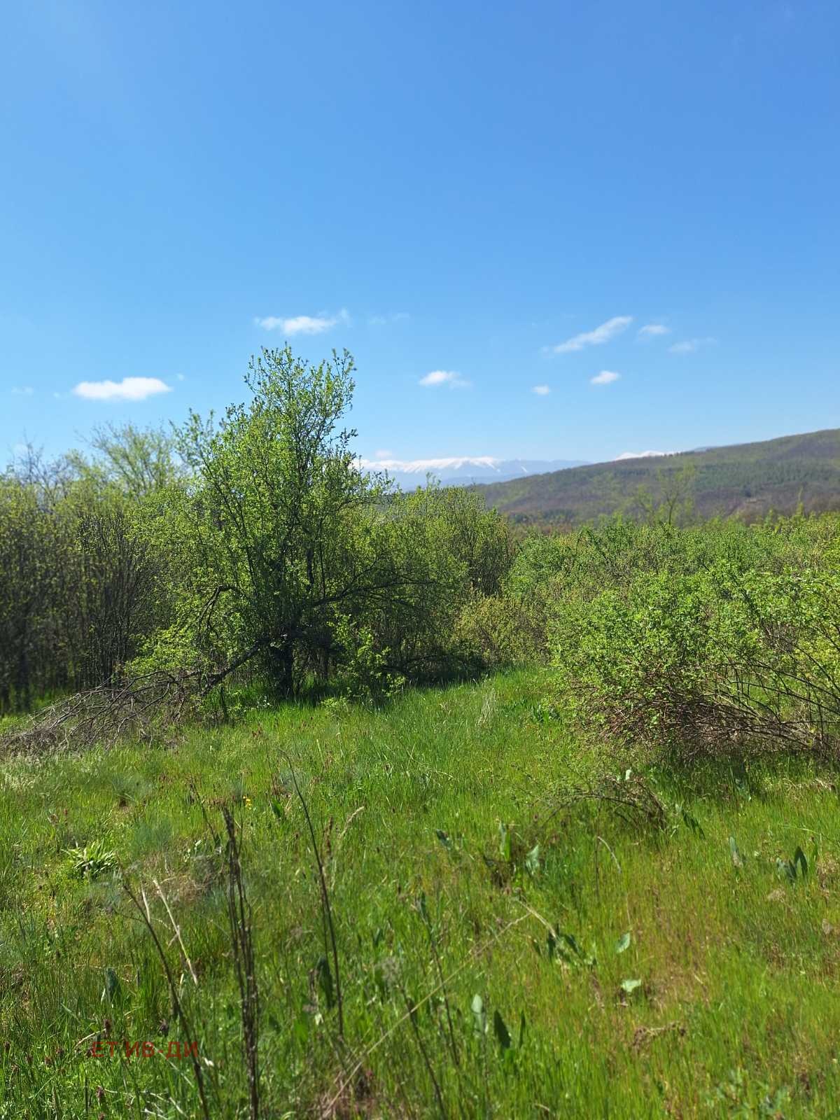 Продава ПАРЦЕЛ, с. Очуша, област София област, снимка 3 - Парцели - 54346197