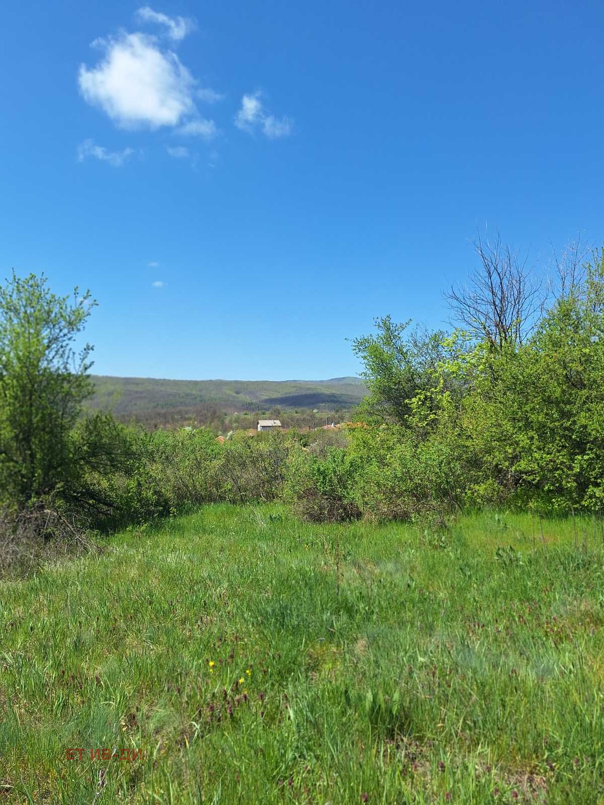 Продава ПАРЦЕЛ, с. Очуша, област София област, снимка 6 - Парцели - 54346197