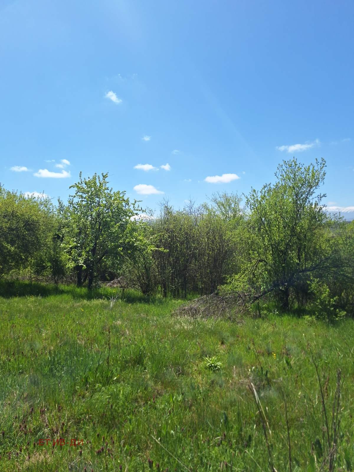 Продава ПАРЦЕЛ, с. Очуша, област София област, снимка 4 - Парцели - 54346197