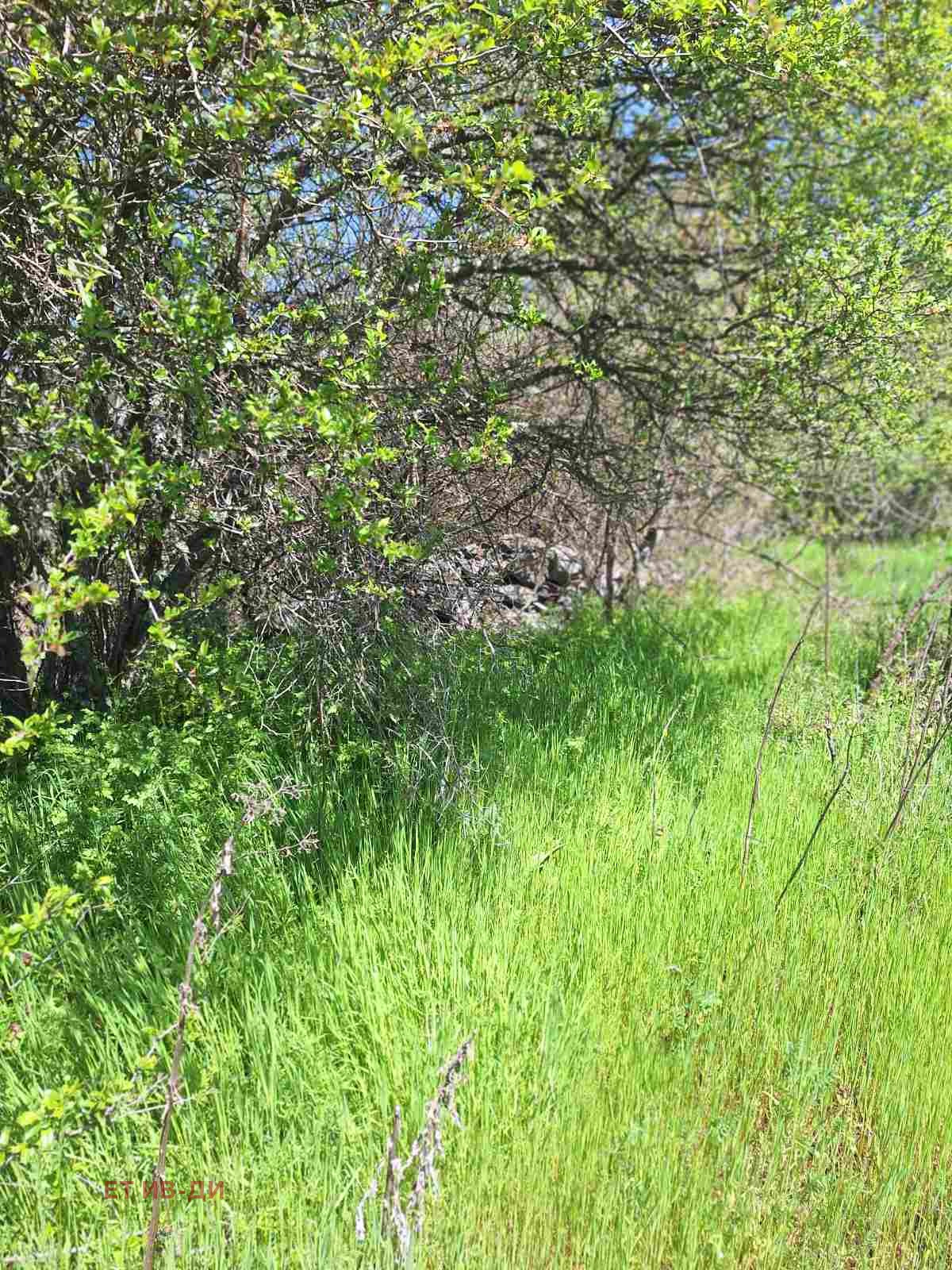 Продава ПАРЦЕЛ, с. Очуша, област София област