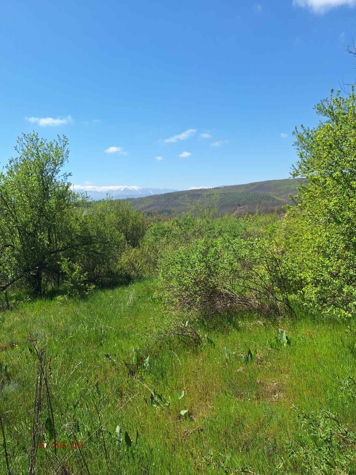 Продава ПАРЦЕЛ, с. Очуша, област София област, снимка 2 - Парцели - 54346197