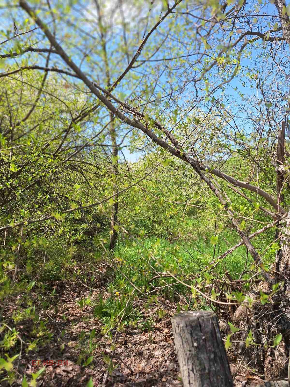 Продава ПАРЦЕЛ, с. Очуша, област София област, снимка 7 - Парцели - 54346197