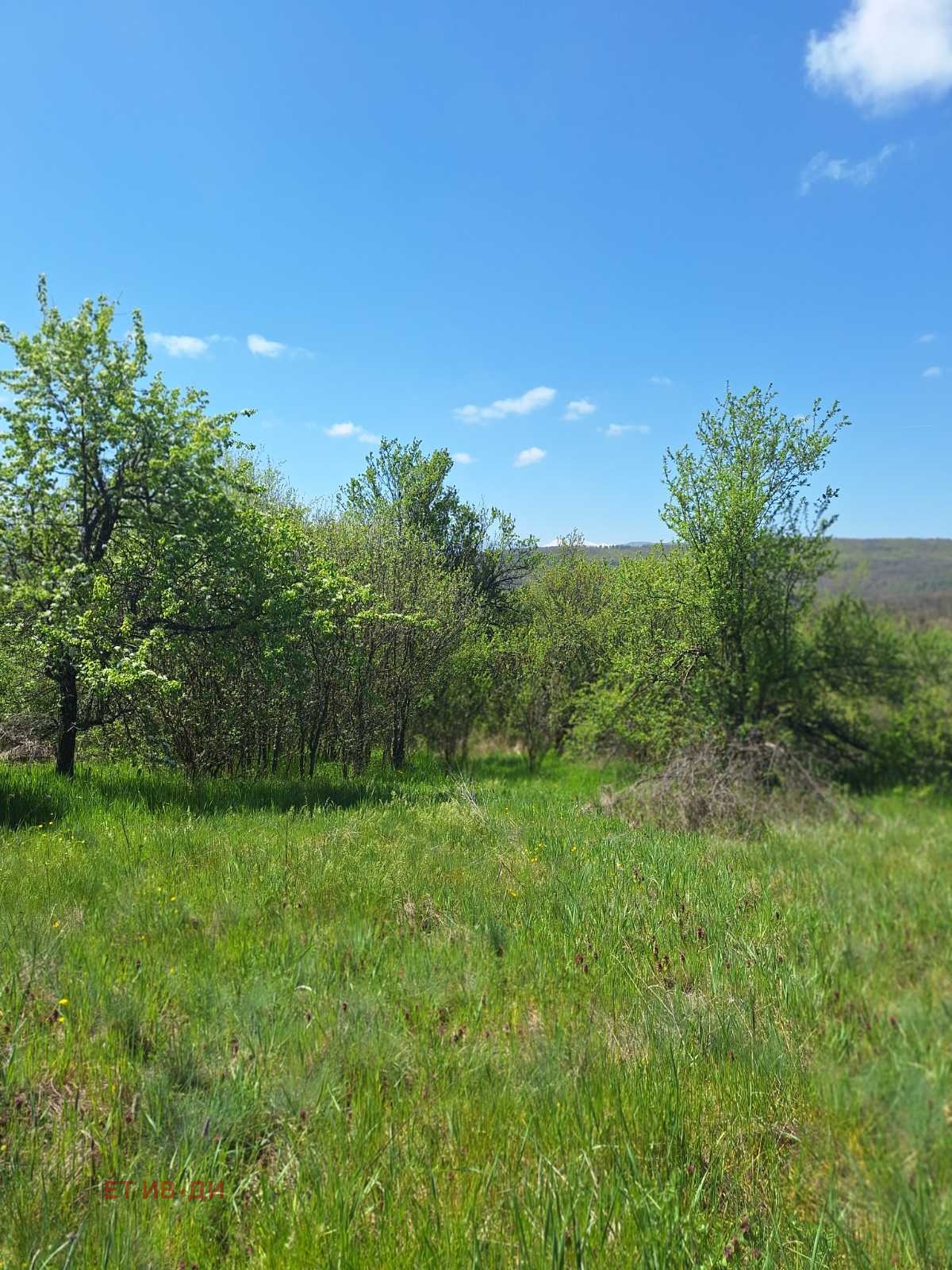 Продава ПАРЦЕЛ, с. Очуша, област София област, снимка 5 - Парцели - 54346197