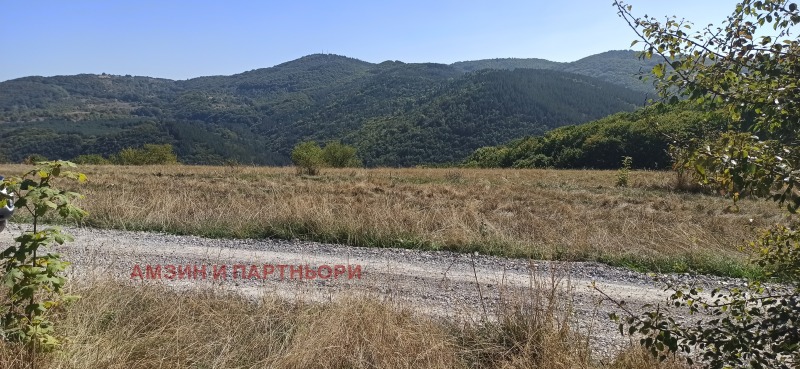 Προς πώληση  σπίτι Σοφηια , Ζελεζνητσα , 150 τ.μ | 45660356 - εικόνα [11]