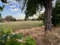 Продава ПАРЦЕЛ, област Пловдив, гр. Съединение • 30000 € • 76453497 — Holmes.bg