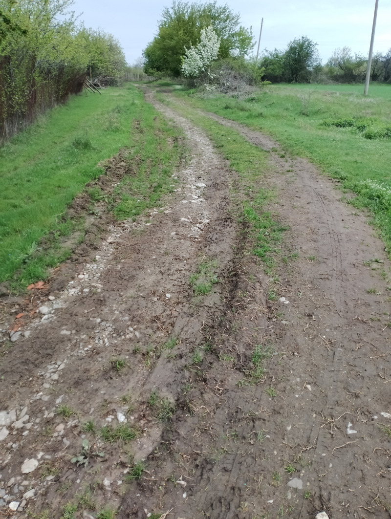 In vendita  Terra regione Varna , Solnik , 9 dka | 94193449 - Immagine [2]
