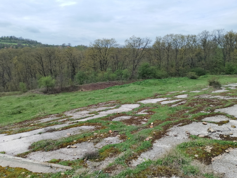 In vendita  Terra regione Varna , Solnik , 9 dka | 94193449 - Immagine [12]