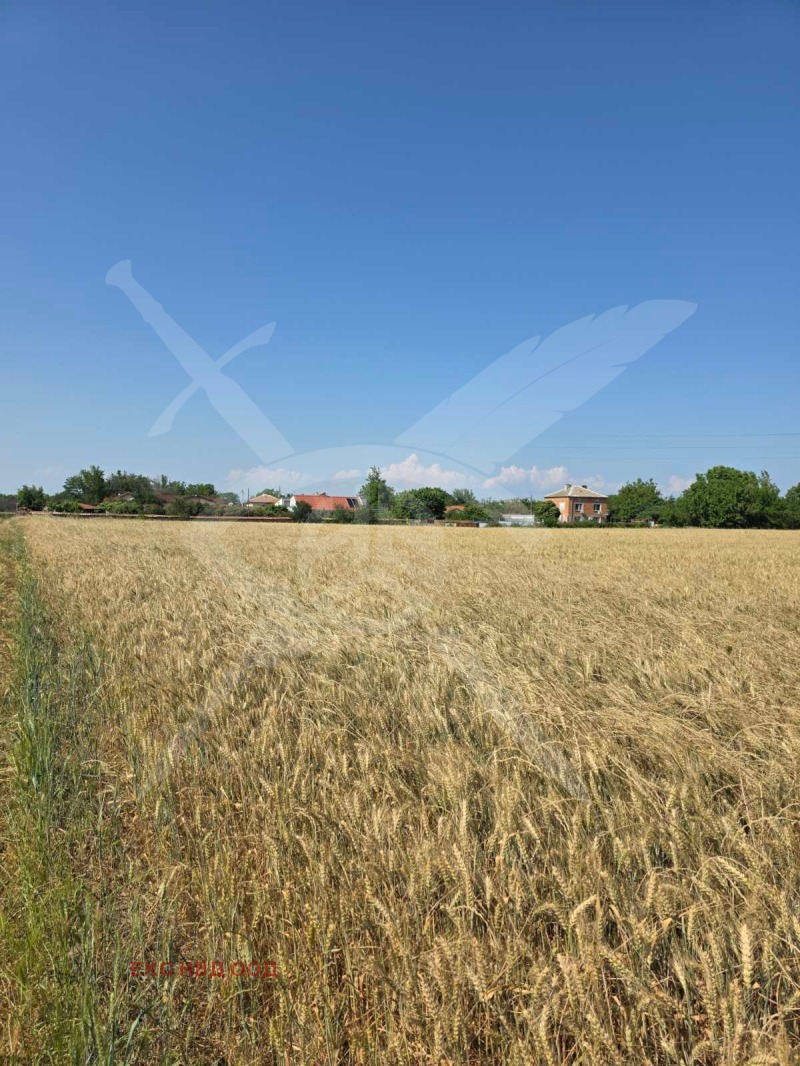 Продава ПАРЦЕЛ в област Пловдив, с. Строево - 3793 кв.м / 32 000 € » 62 586.56 лв., ЕКС НВД ПЛОВДИВ ООД