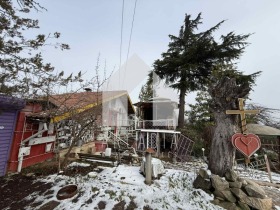 ������� ���� | Imot.bg � ����� ������ 8