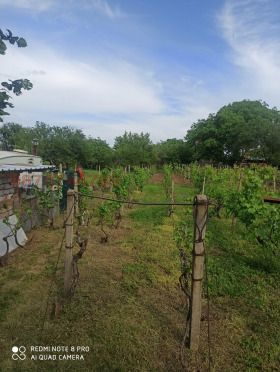 ������� ������ | Imot.bg � ����� ������ 5