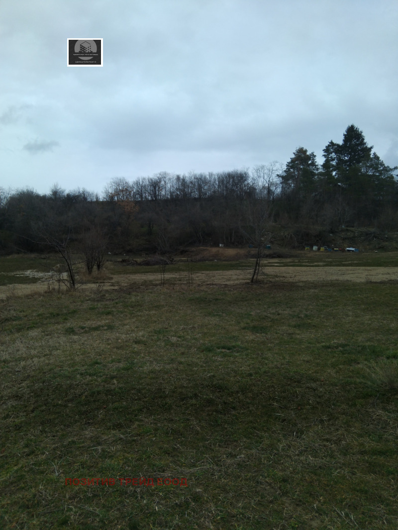 Продава ПАРЦЕЛ, гр. Сапарева баня, област Кюстендил, снимка 2 - Парцели - 53386109