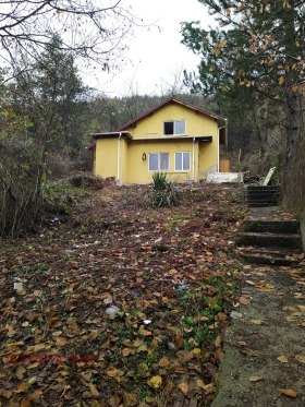 Hus Vlado Tritjkov, region Sofia 3