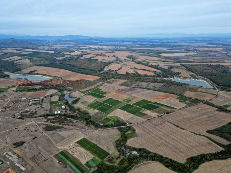 Продава ЗЕМЕДЕЛСКА ЗЕМЯ, с. Царева поляна, област Хасково, снимка 4 - Земеделска земя - 52786235