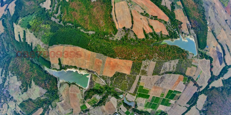 Продава ЗЕМЕДЕЛСКА ЗЕМЯ, с. Царева поляна, област Хасково, снимка 5 - Земеделска земя - 52786235