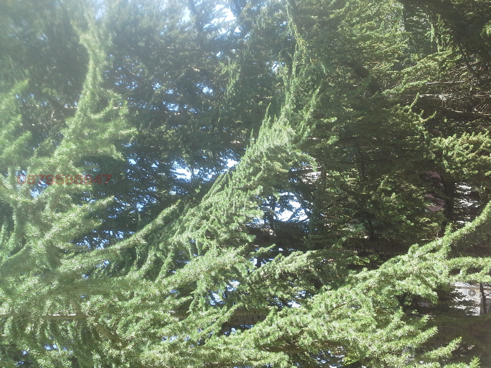 Продава ЗЕМЕДЕЛСКА ЗЕМЯ, гр. Хасково, област Хасково