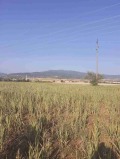 Продава ЗЕМЕДЕЛСКА ЗЕМЯ, гр. Кюстендил, област Кюстендил, снимка 4
