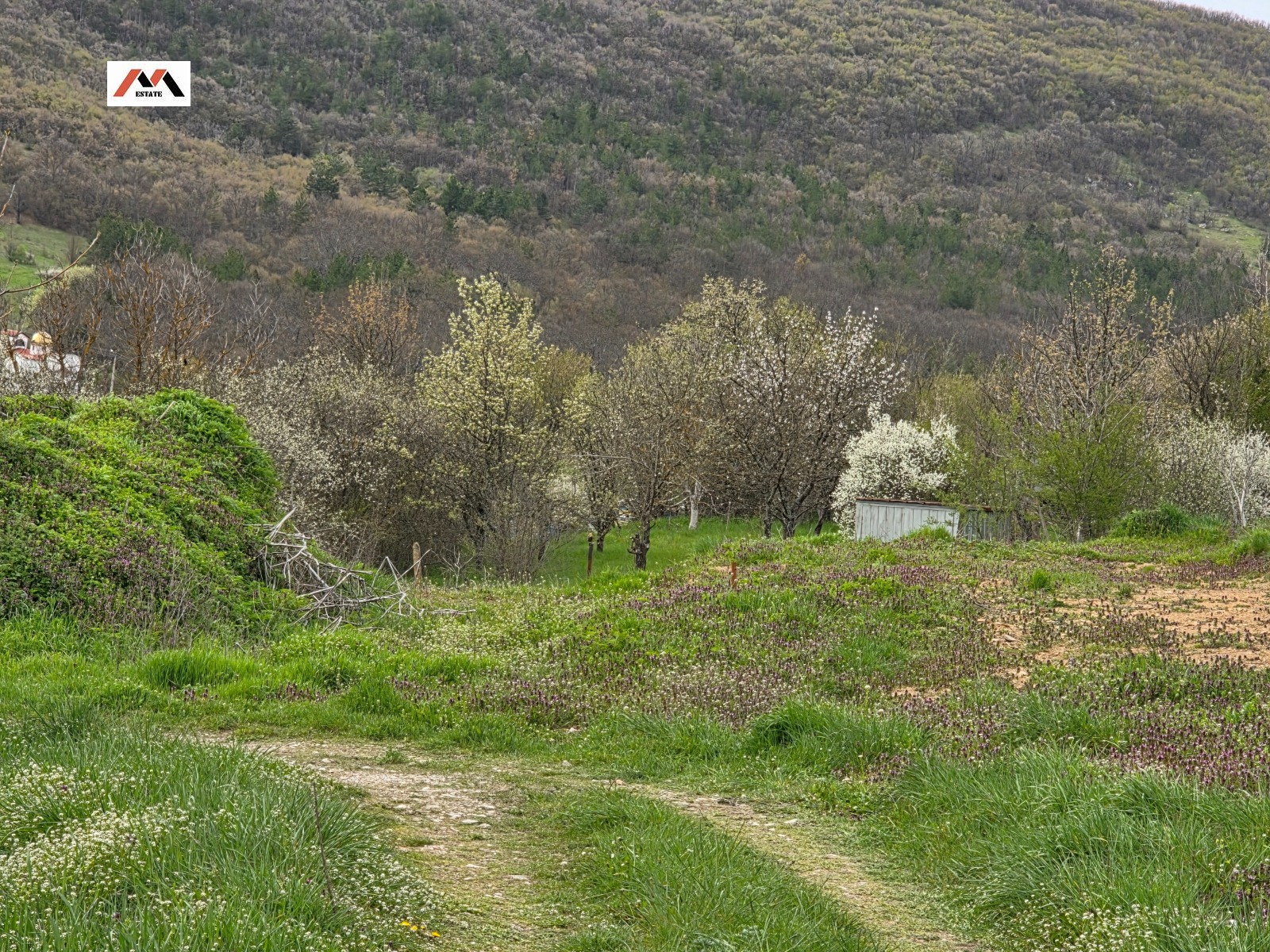 ������� ������ | Imot.bg � ����������� 3