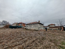 ������ ������� ����