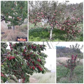 ������� ���� | Imot.bg � ����� ������ 9