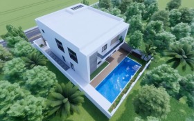 ������ ������� ������