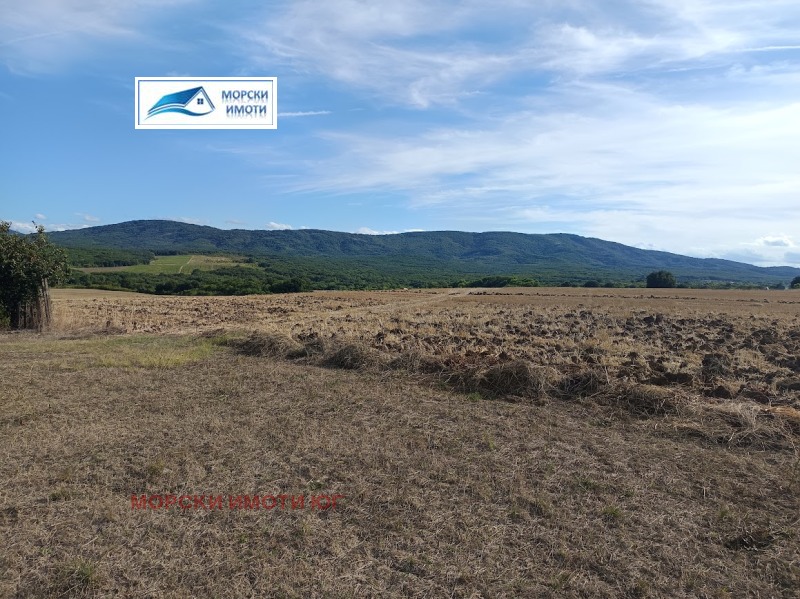 Na prodej  Spiknutí oblast Burgas , Lozenec , 750 m2 | 14629789 - obraz [6]