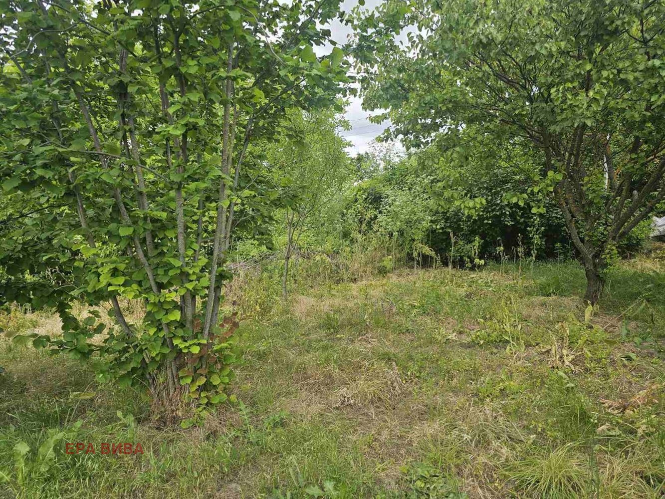 Продава ПАРЦЕЛ, с. Яребична, област Варна, снимка 2 - Парцели - 55024127