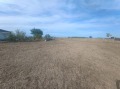 Продава ПАРЦЕЛ, с. Лозенец, област Бургас, снимка 4