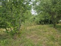 Продава ПАРЦЕЛ, с. Яребична, област Варна, снимка 2