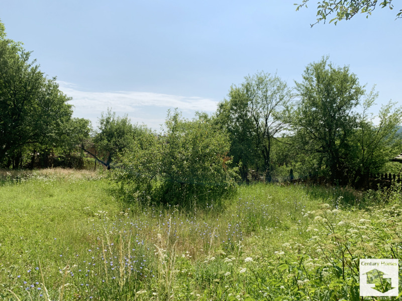 Zu verkaufen  Haus region Weliko Tarnowo , Sredni kolibi , 100 qm | 37087686 - Bild [13]