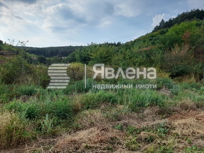 Продава ПАРЦЕЛ, с. Дебръщица, област Пазарджик, снимка 4 - Парцели - 52620558