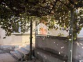 Продава КЪЩА, с. Крушовица, област Плевен, снимка 4