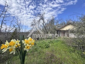 ������ ������� ������