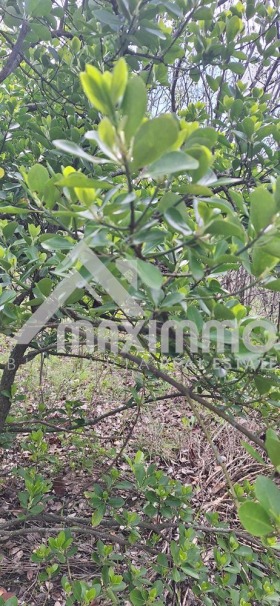 ������� ������ | Imot.bg � ����� ������ 13