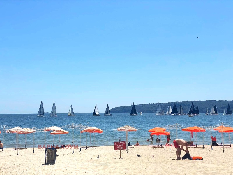 Продава ЗАВЕДЕНИЕ, гр. Варна, м-т Салтанат, снимка 14 - Заведения - 52244507