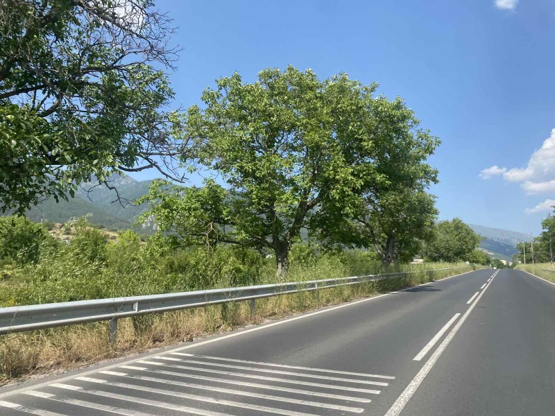 Til salg  Grund region Plovdiv , Sopot , 5600 kvm | 94356732