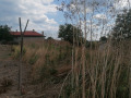 Продава ПАРЦЕЛ, с. Оброчище, област Добрич, снимка 7