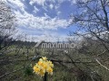 Продава  Парцел град Варна , м-т Планова , 1140 кв.м | 45409473 - изображение [17]