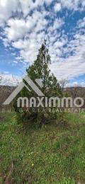 Продава  Парцел град Варна , м-т Планова , 1140 кв.м | 45409473 - изображение [5]
