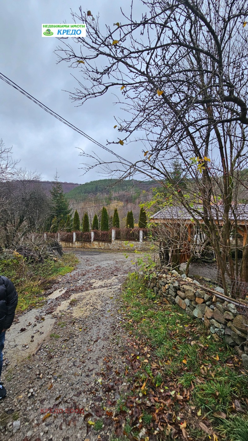 Продава ПАРЦЕЛ, с. Чуйпетлово, област Перник, снимка 2 - Парцели - 53314857