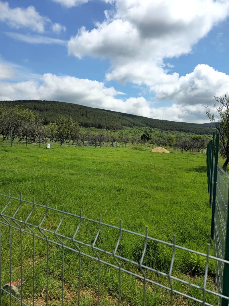 Zu verkaufen  Handlung region Burgas , Kableschkowo , 1500 qm | 63971365