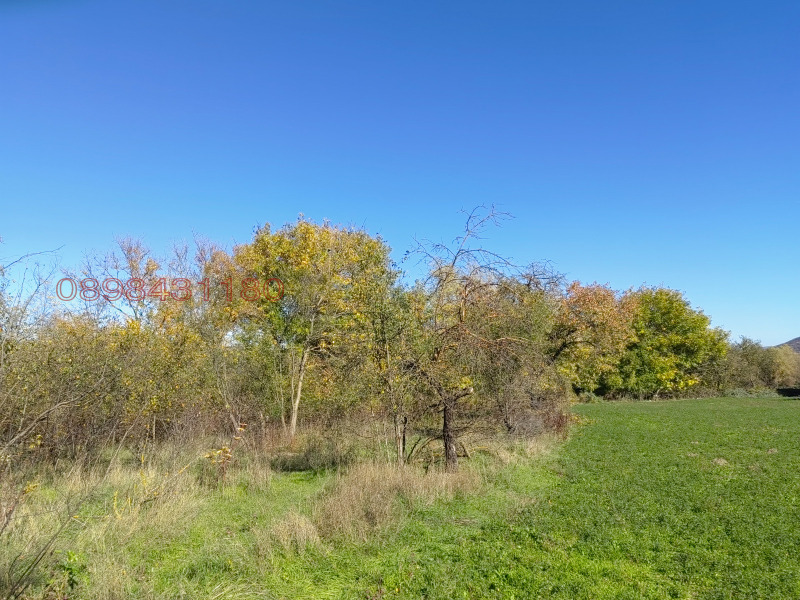 Продава ПАРЦЕЛ, с. Могила, област Шумен, снимка 2 - Парцели - 52779465