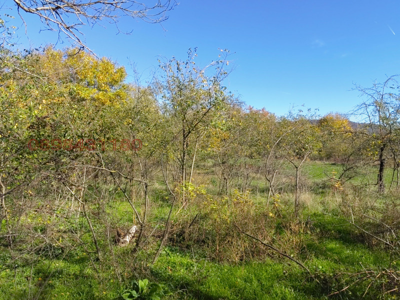 Продава ПАРЦЕЛ, с. Могила, област Шумен, снимка 3 - Парцели - 52779465