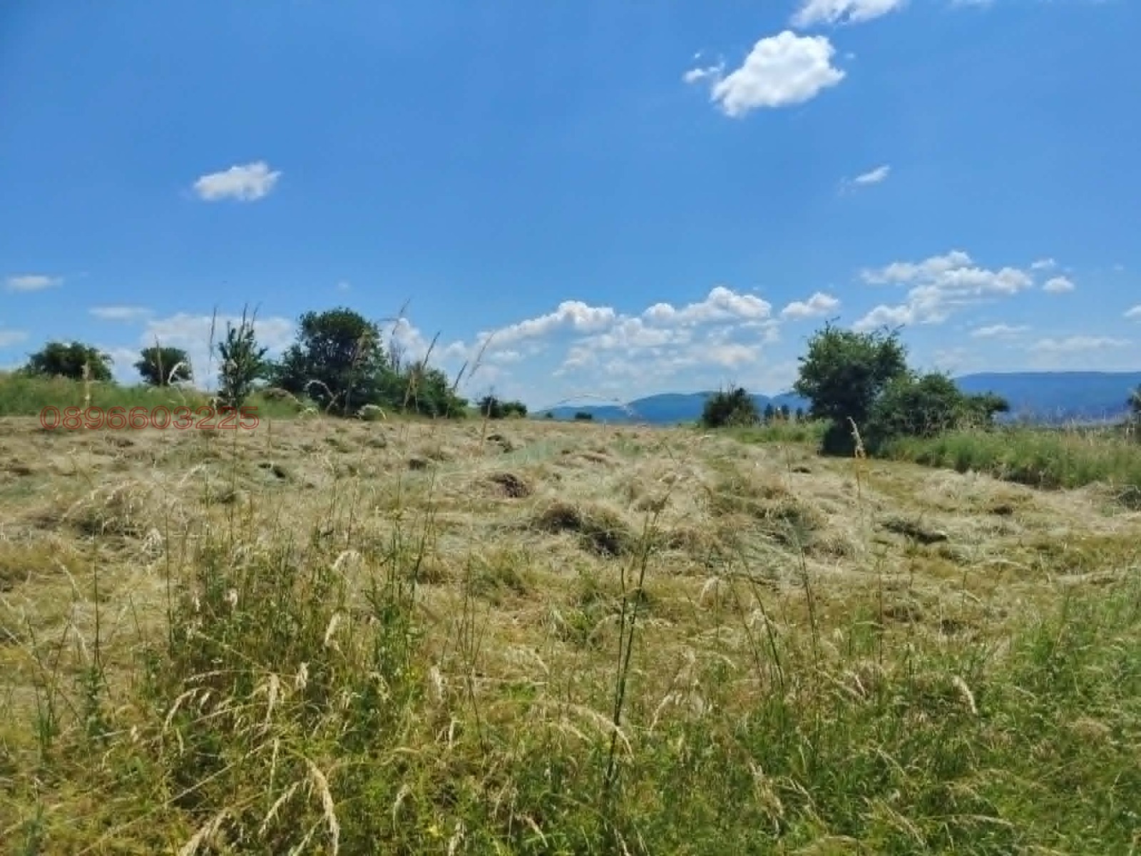Продава ПАРЦЕЛ, с. Дивотино, област Перник, снимка 4 - Парцели - 55024191