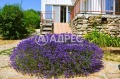 Продава КЪЩА, област Варна, с. Аврен • 199900 € • 70899795 — Holmes.bg