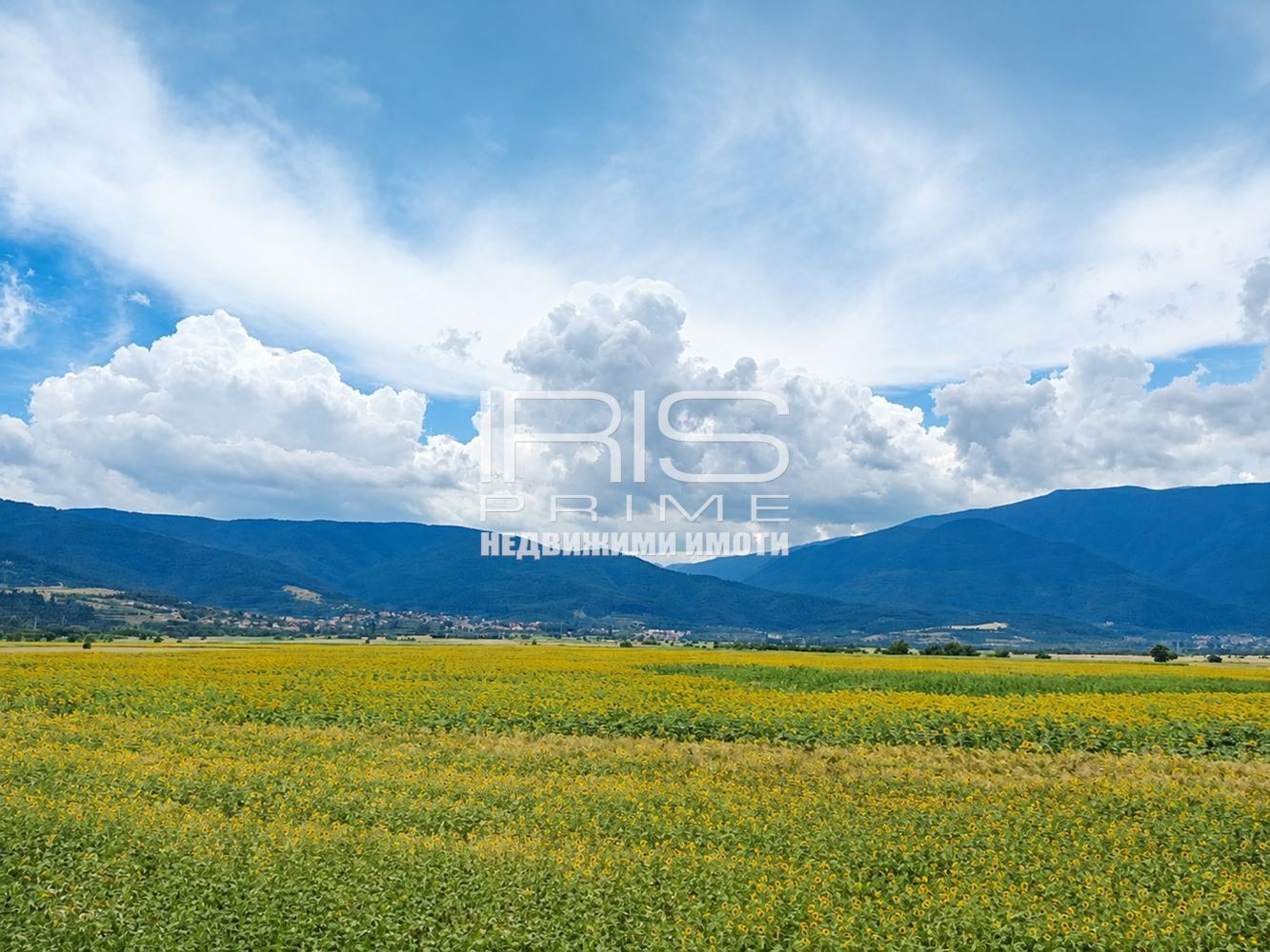 ������� ������ | Imot.bg � ����������� 1