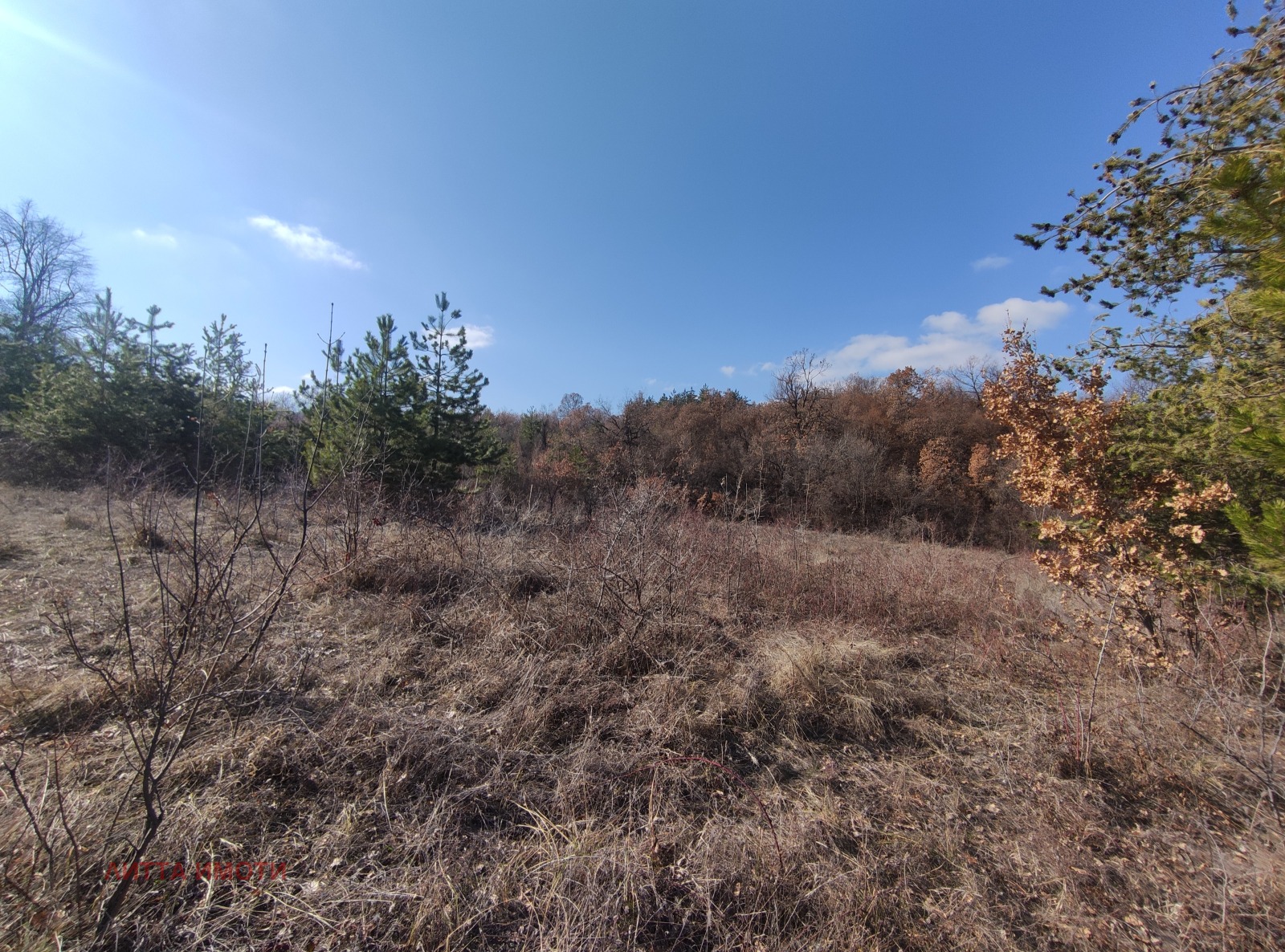 ������� ������ | Imot.bg � ����������� 4